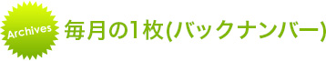 毎月の1枚