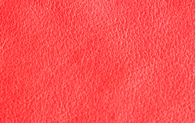 シボの写真1枚目