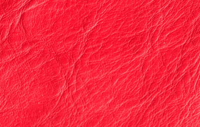 シボの写真3枚目