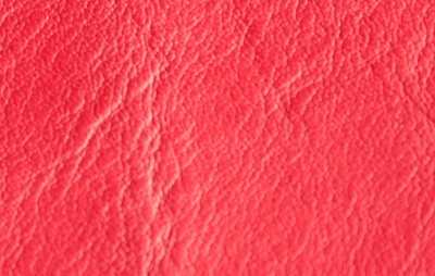 シボの写真4枚目