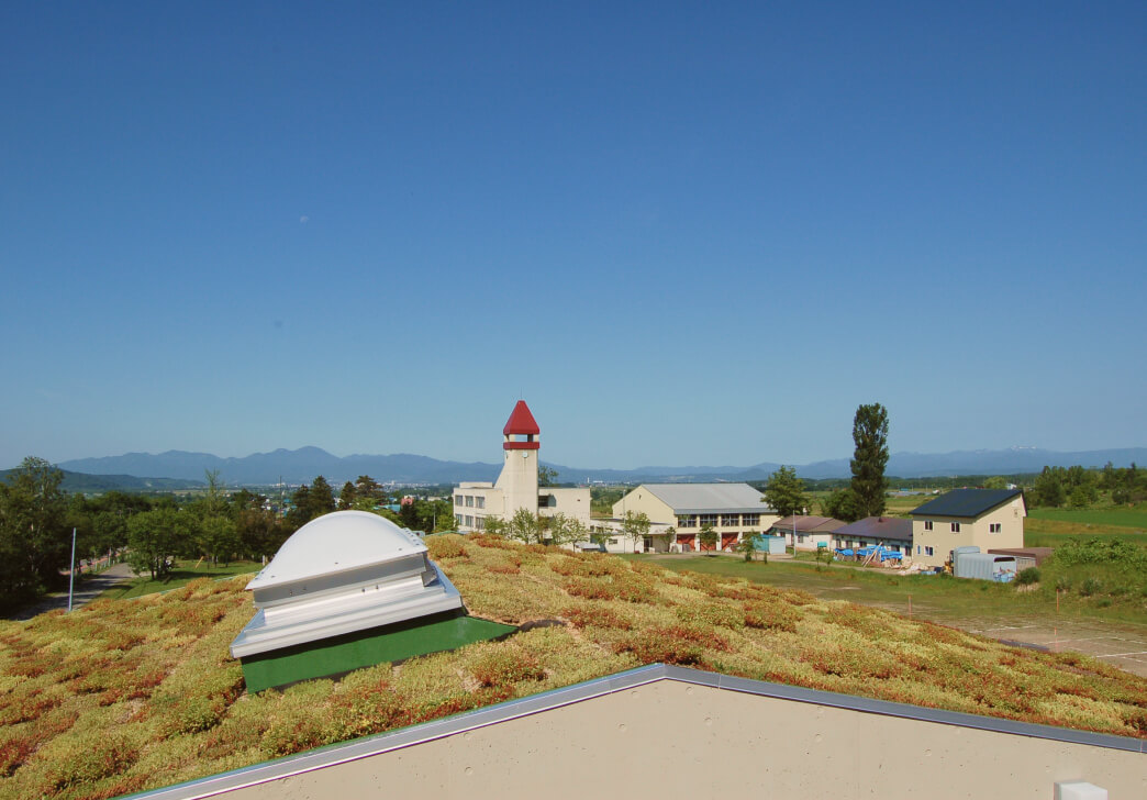 工房の屋根に設置した屋上緑化